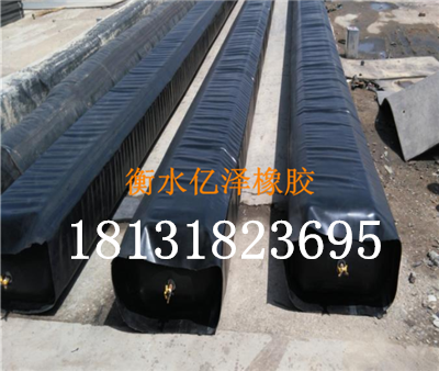 一次成型八角橡膠氣囊內(nèi)模